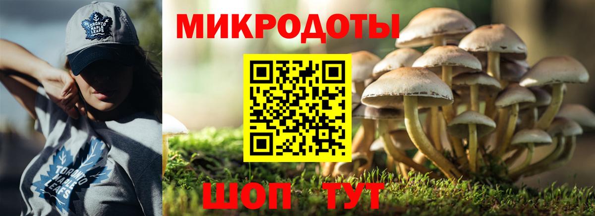 Туапсе  что такое   Вход с VPN  Псилоцибиновые грибы Cubensis 